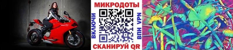 купить наркотики сайты  Чехов  Галлюциногенные грибы Psilocybine cubensis 